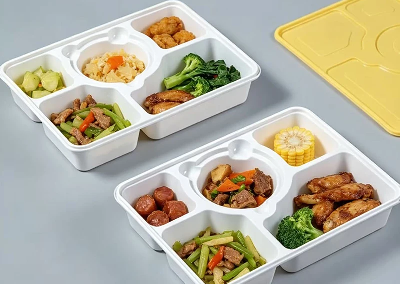 How to Audit a Disposable Plastic Food Container Manufacturer