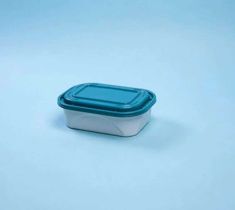 American-Style vs Standard PP Food Containers: Key Differences