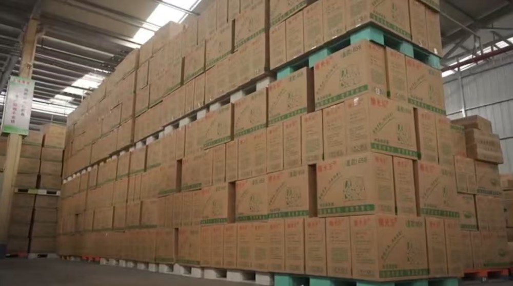 Company Strength | 27,000㎡ Smart Manufacturing Base + 120+ Production Lines: Where Does a PP Lunch Box Factory's Hardcore Confidence Come From?