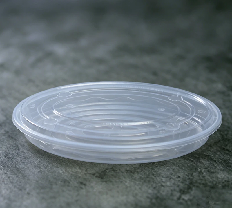Dumpling Container  NS-DC  850ml