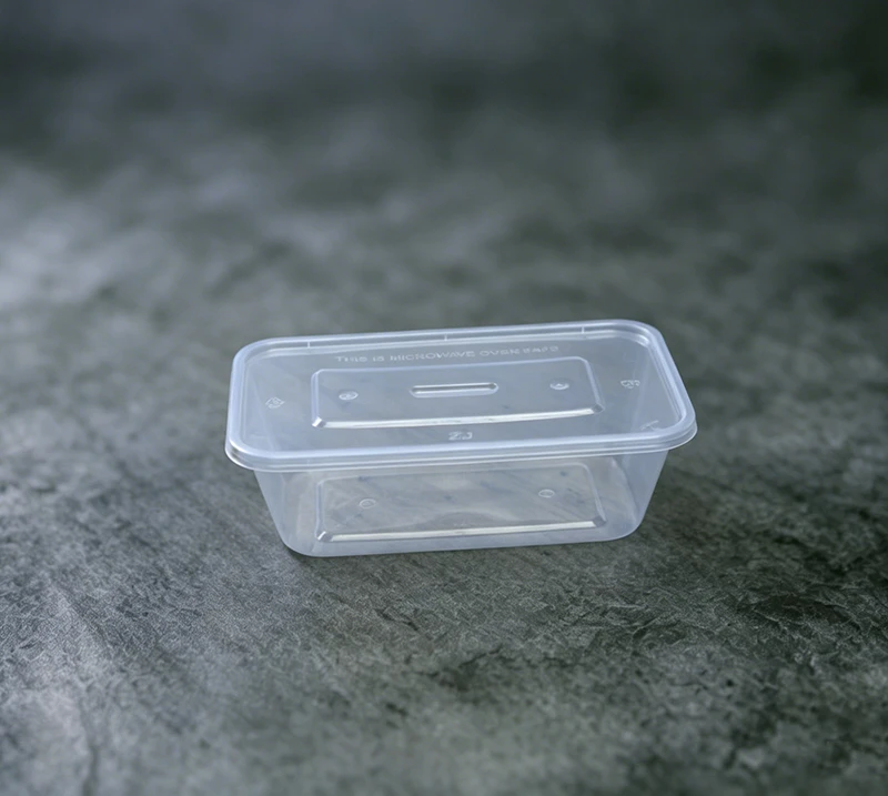 Normal-style 1000 Squre Food Container (Large) NS-DF-1000 920ml